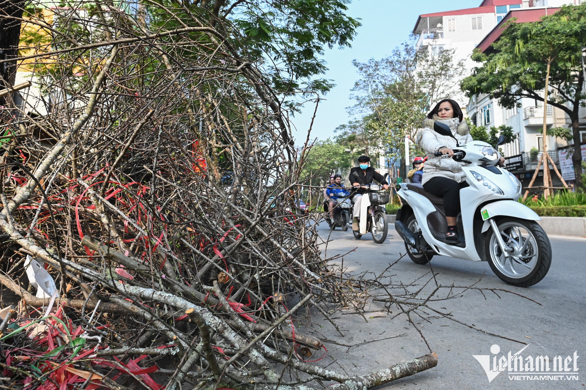 Tiểu thương vứt bỏ c&agrave;nh đ&agrave;o, kh&aacute;ch điều &ocirc; t&ocirc; đến chở về nh&agrave; - Ảnh 3.
