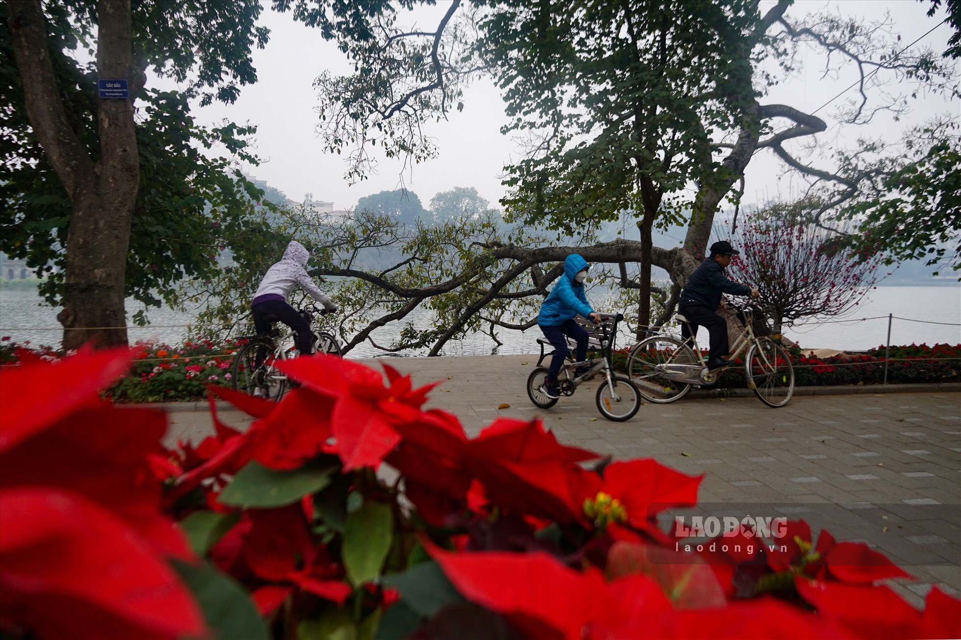 Hà Nội bình yên, đẹp mơ màng trong sáng mùng 1 Tết - Ảnh 2.