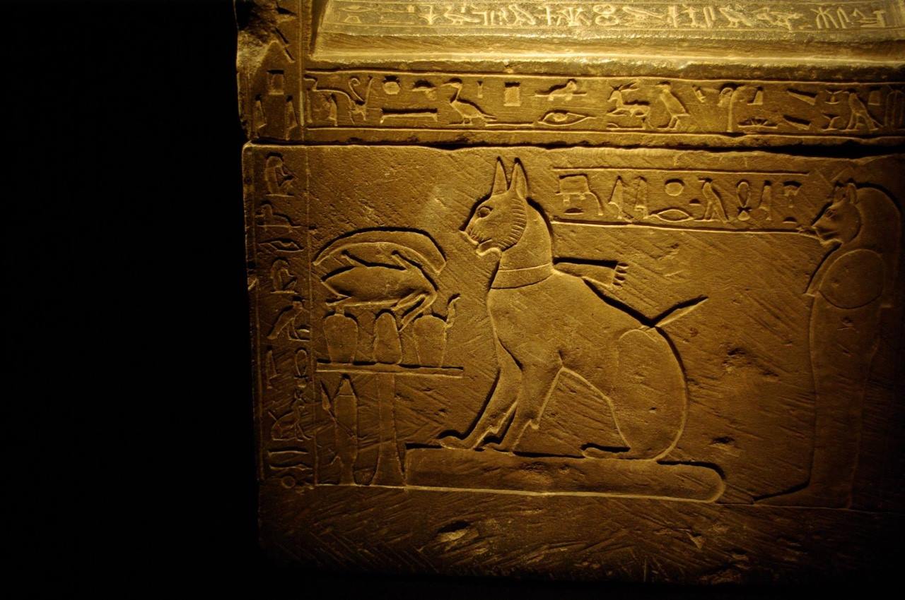 sarcophagus-of-prince-thutmoses-cat-ta-miu-16742698594681504359421-1674349124507-16743491247931260461976.jpg