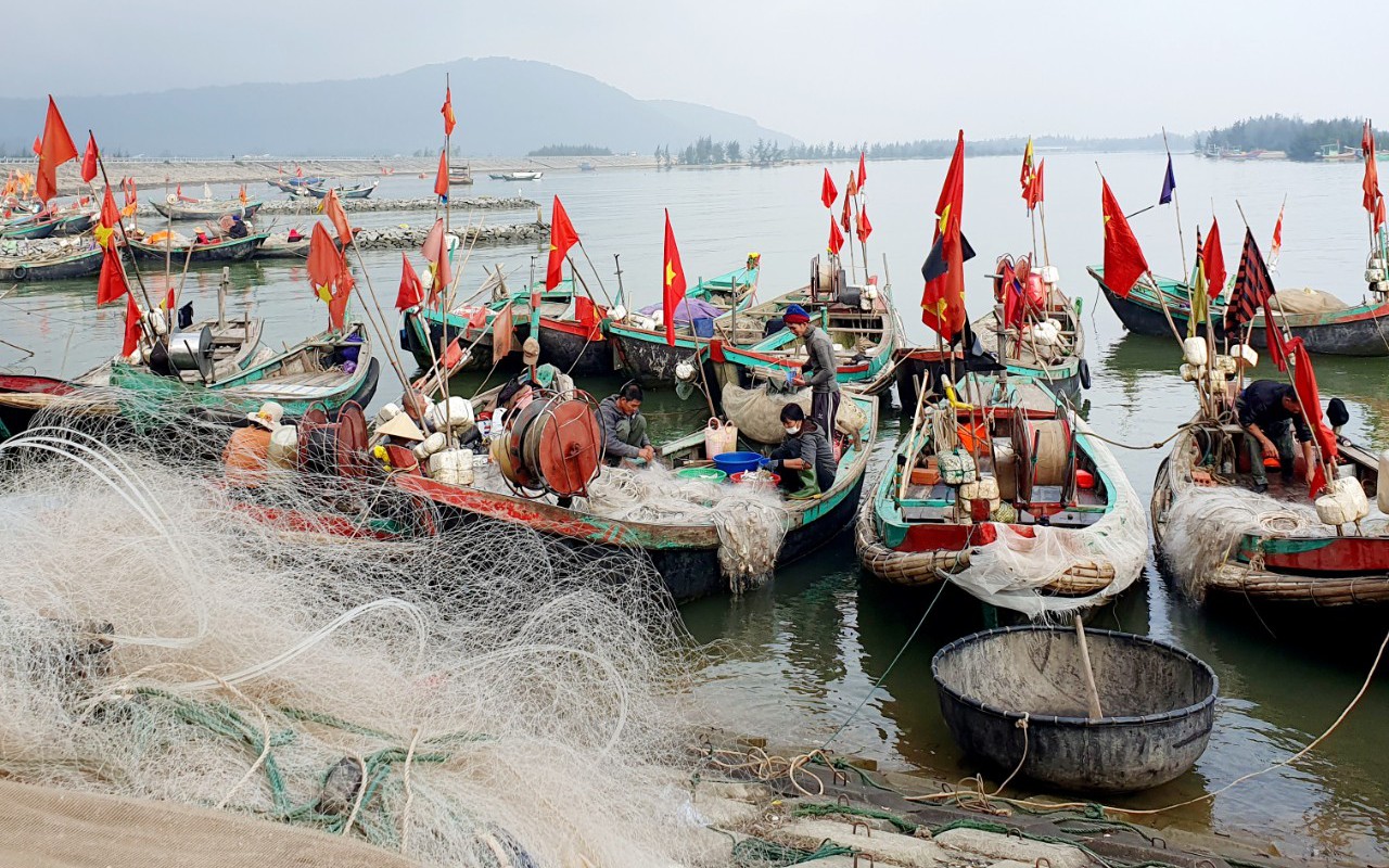 Cận cảnh ngư dân Hà Tĩnh trúng 'lộc biển' đầu năm