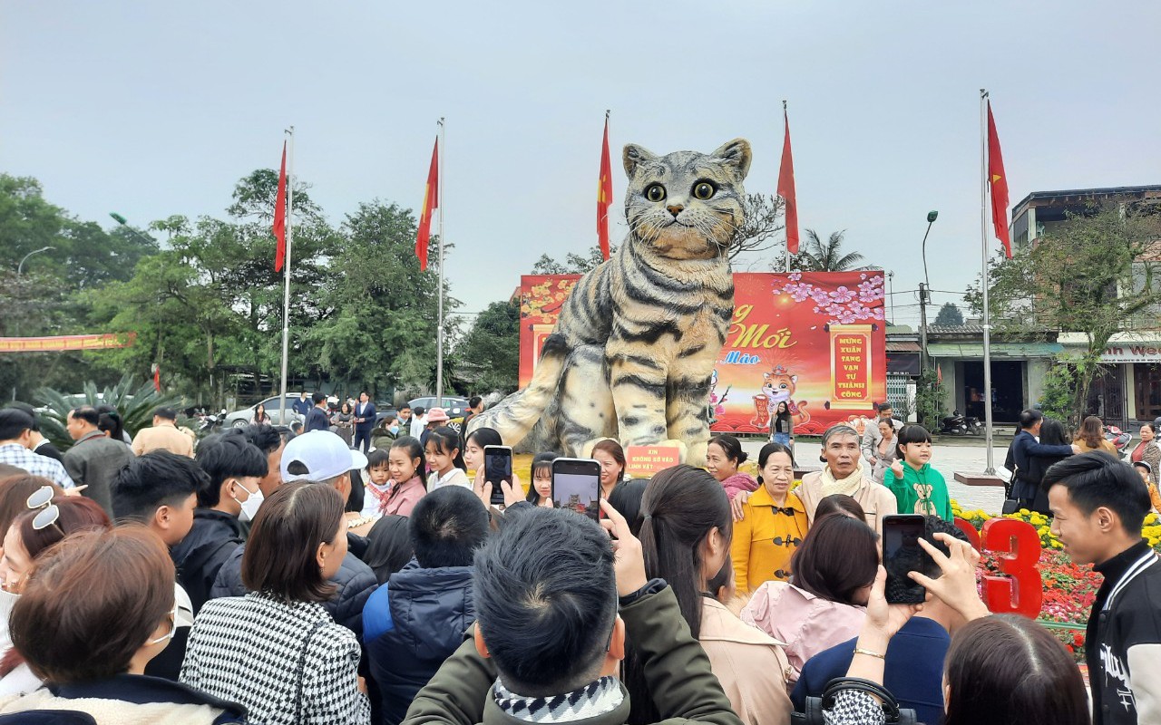 "Hoa hậu mèo" Quảng Trị thu hút hàng chục nghìn người đến check-in dịp Tết