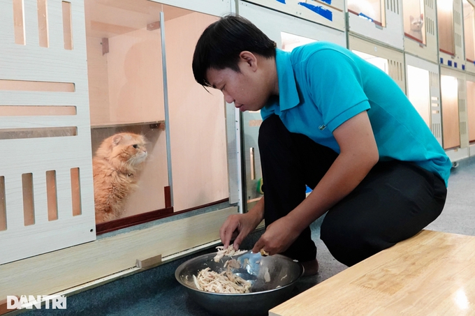Chàng trai chi hơn 200 triệu đồng mở quán cà phê mèo cho khách đến vuốt ve - Ảnh 3.
