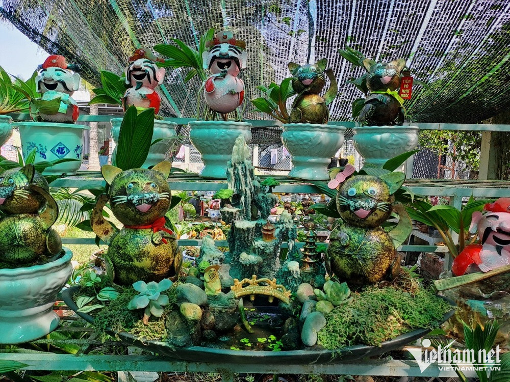 B&aacute;n bonsai h&igrave;nh m&egrave;o, thu nửa tỷ Tết Qu&yacute; M&atilde;o 2023 - Ảnh 3.