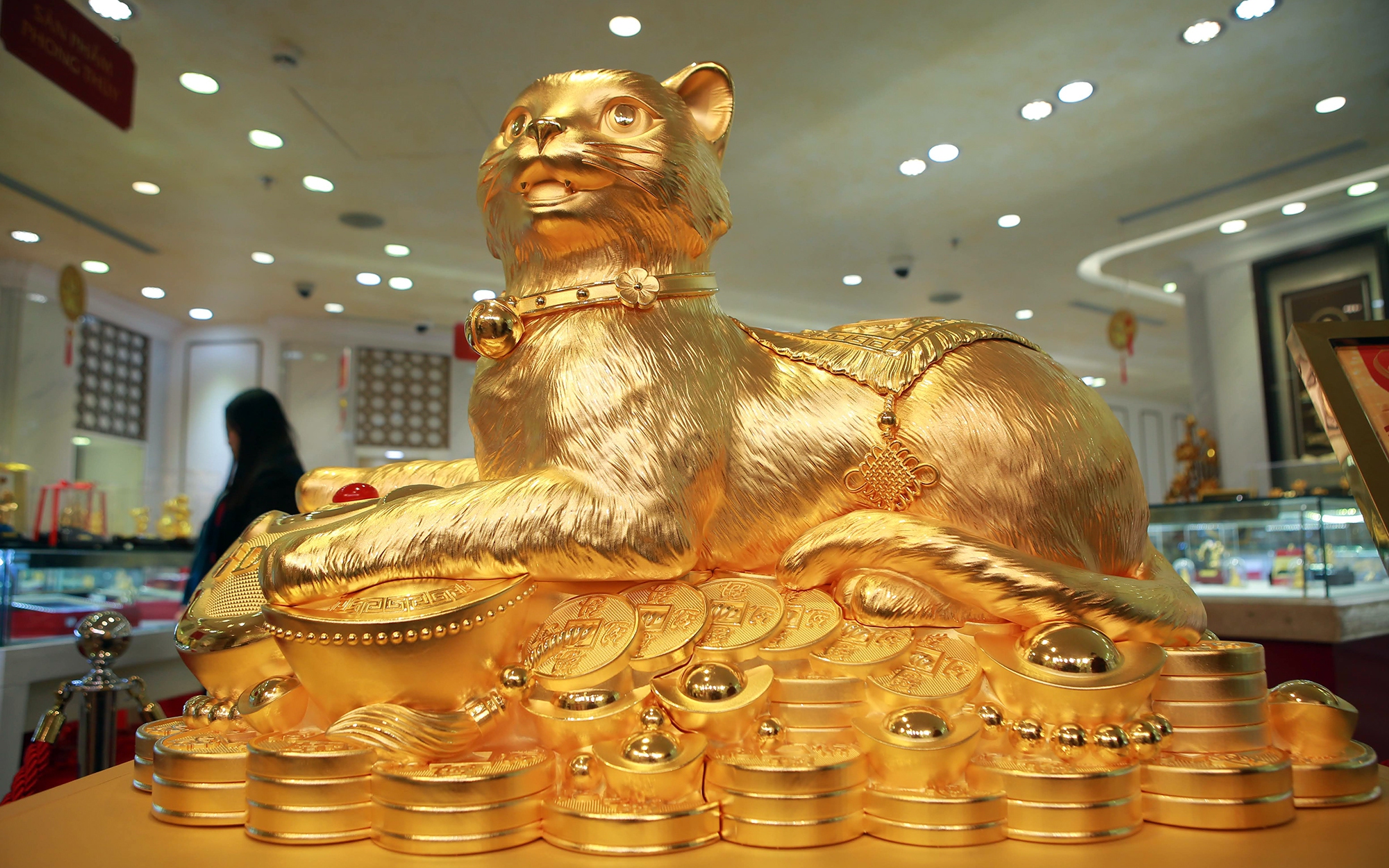 Cận cảnh Mèo vàng 'Kim Mão vương bảo' gần 50kg gây sốt ngày vía Thần Tài