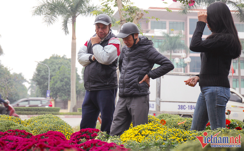 Hoa, cây cảnh chơi Tết tràn xuống phố, thương lái thấp thỏm chờ khách - Ảnh 2.