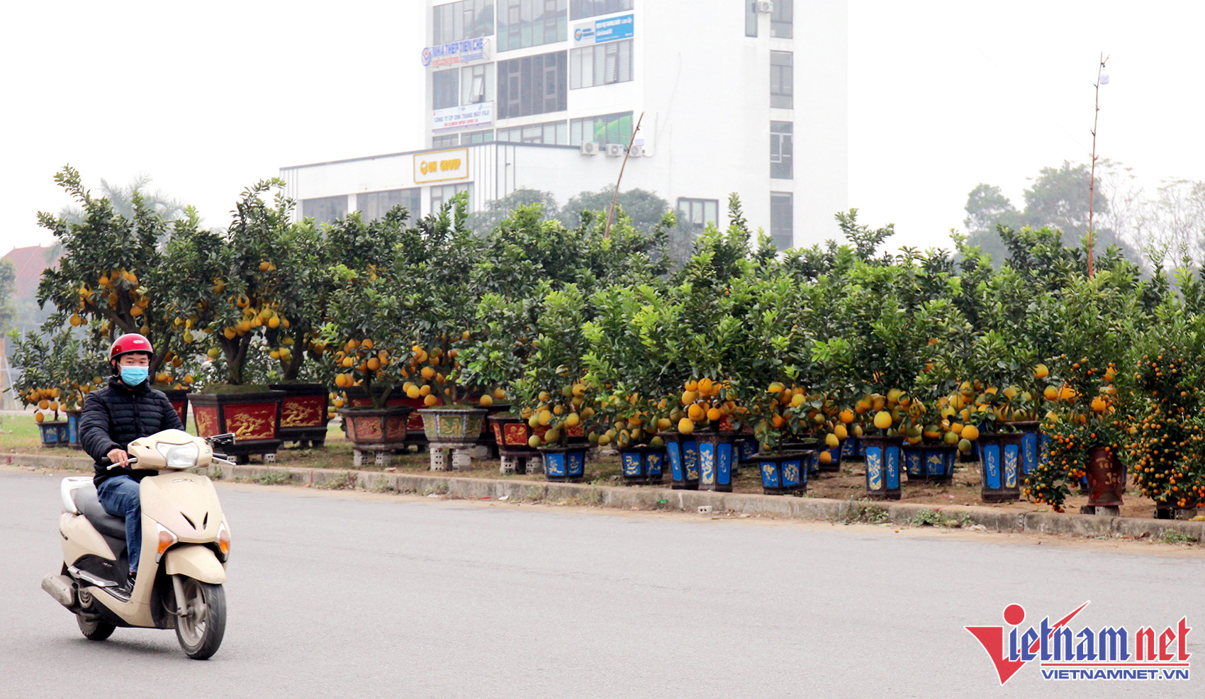 Hoa, cây cảnh chơi Tết tràn xuống phố, thương lái thấp thỏm chờ khách - Ảnh 1.