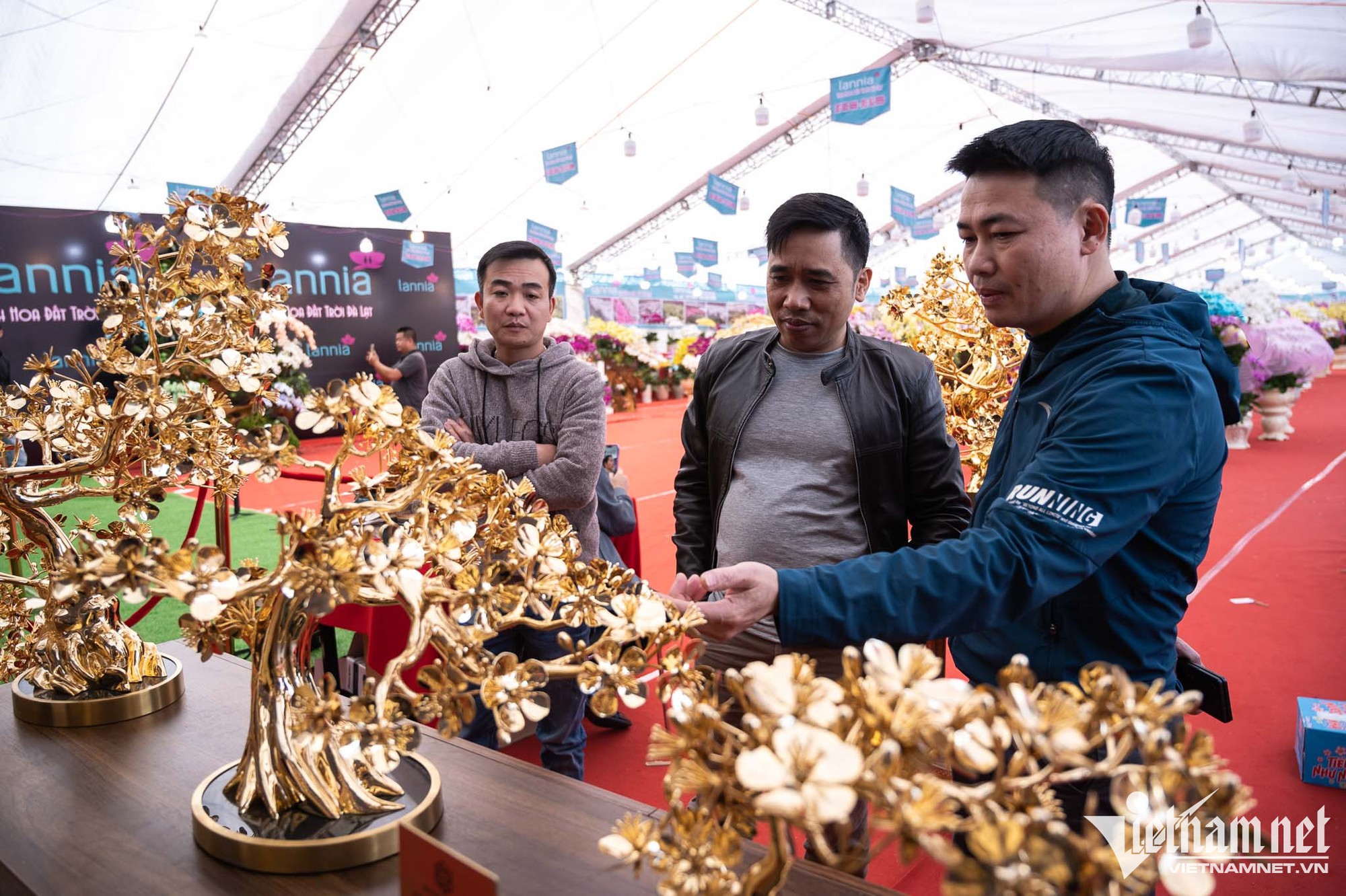 Cây mai mạ vàng 24k giá rao bán gần 6 tỷ đồng ở Hà Nội - Ảnh 6.