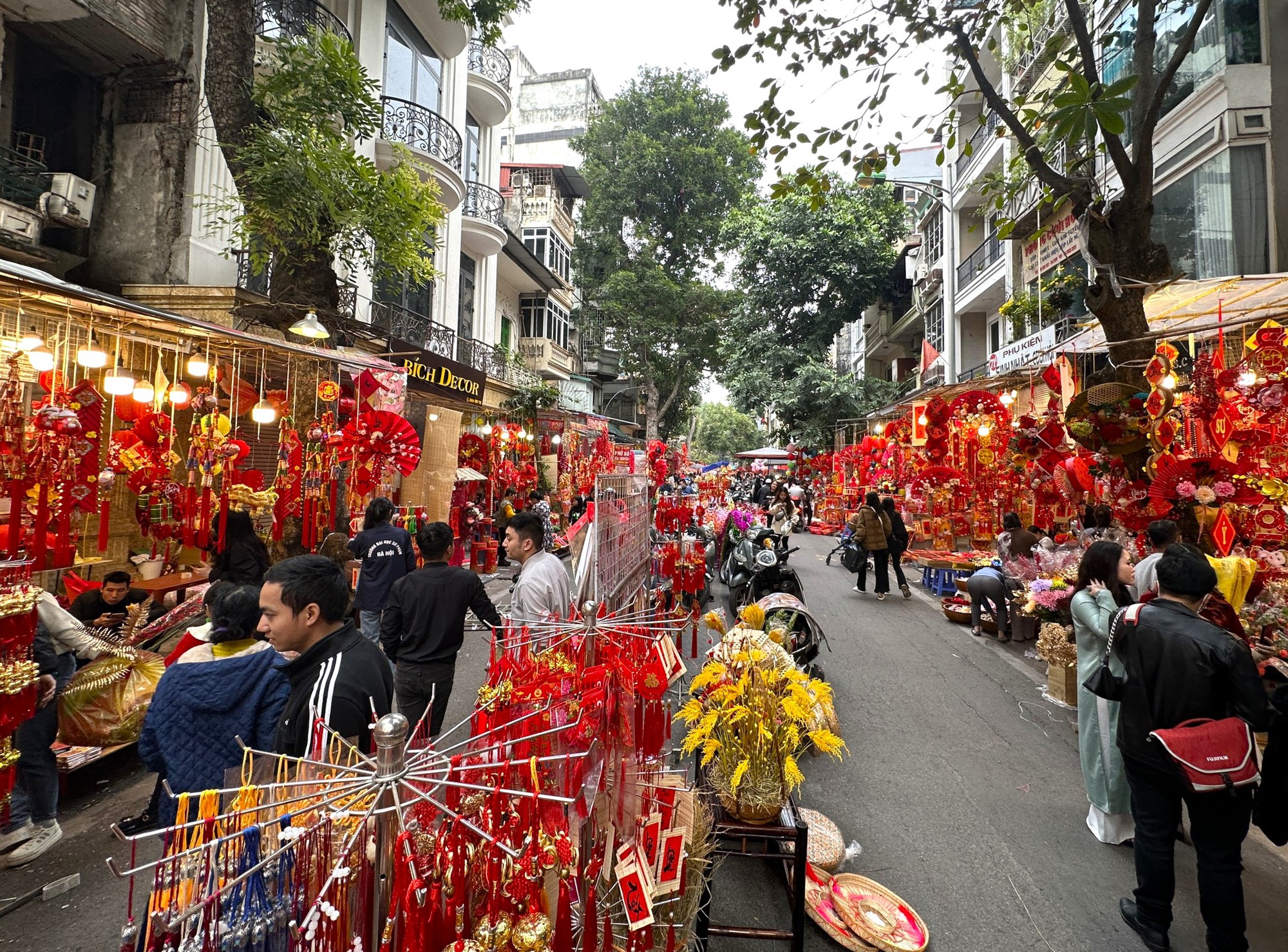 Phố