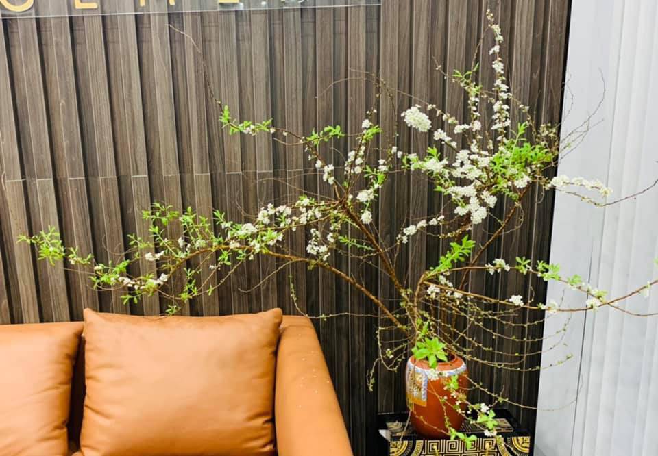 Lo&agrave;i hoa ''ngủ đ&ocirc;ng'' h&uacute;t kh&aacute;ch dịp Tết, chịu kh&oacute; chăm hoa bung nụ cực đẹp  - Ảnh 6.