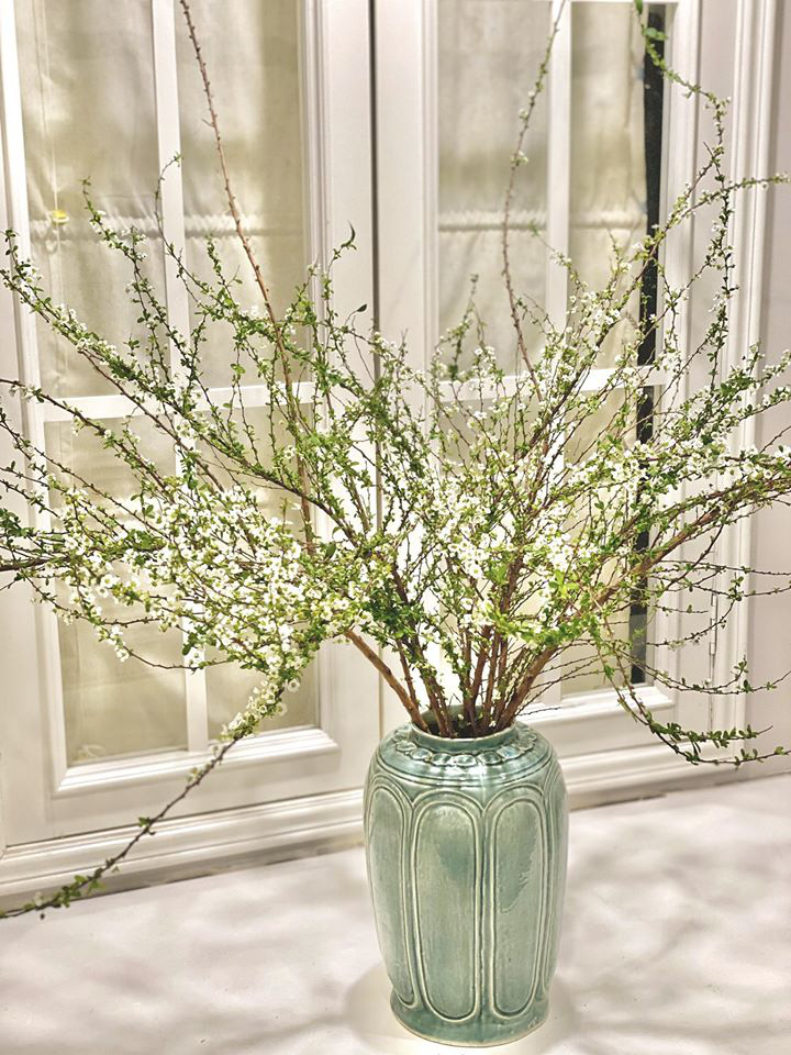 Lo&agrave;i hoa ''ngủ đ&ocirc;ng'' h&uacute;t kh&aacute;ch dịp Tết, chịu kh&oacute; chăm hoa bung nụ cực đẹp  - Ảnh 8.