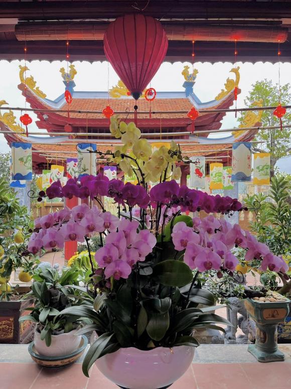 Việt phủ dát vàng của Vượng Râu ở Nam Định trang hoàng lộng lẫy, ngập sắc hoa đón Tết - Ảnh 1.