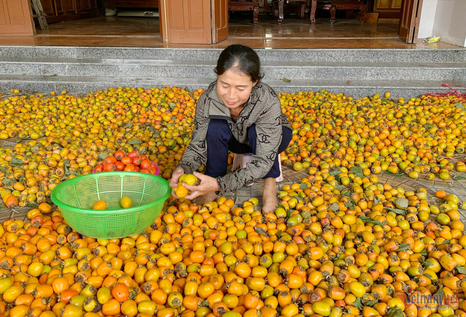 Thủ phủ hồng trăm tuổi xứ Nghệ mất mùa, được giá - Ảnh 2.