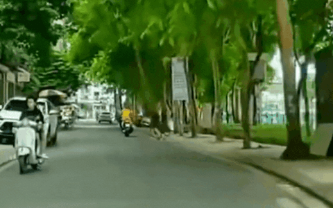 Hung hãn đạp người đi xe đạp ngã sõng soài trên phố Hà Nội, nam thanh niên nhận hình phạt như thế nào? 