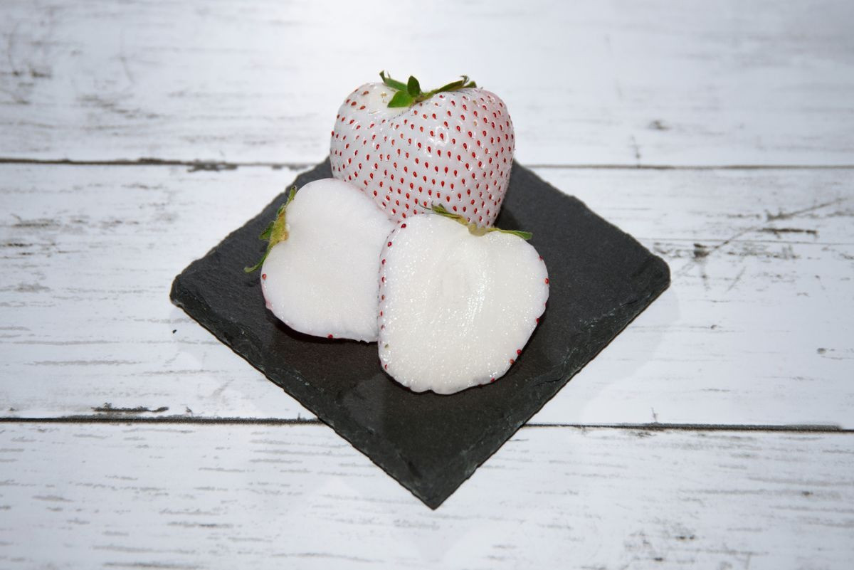 Bí mật thú vị về loại dâu tây Bạch Tuyết Nhật Bản giá mỗi quả hàng trăm nghìn - Ảnh 1.