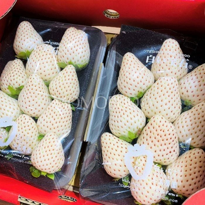 Bí mật thú vị về loại dâu tây Bạch Tuyết Nhật Bản giá mỗi quả hàng trăm nghìn - Ảnh 3.
