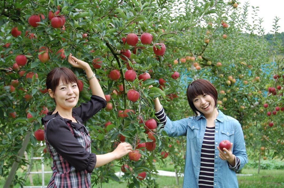 Vì sao người dân Nhật Bản không bao giờ ăn trái cây do chính tay họ trồng trong vườn nhà? - Ảnh 3.
