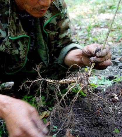 Lão nông nhặt được khúc gỗ có hình dáng kỳ lạ, con trai vừa thấy đã tái mặt gọi điện báo cảnh sát - Ảnh 1.