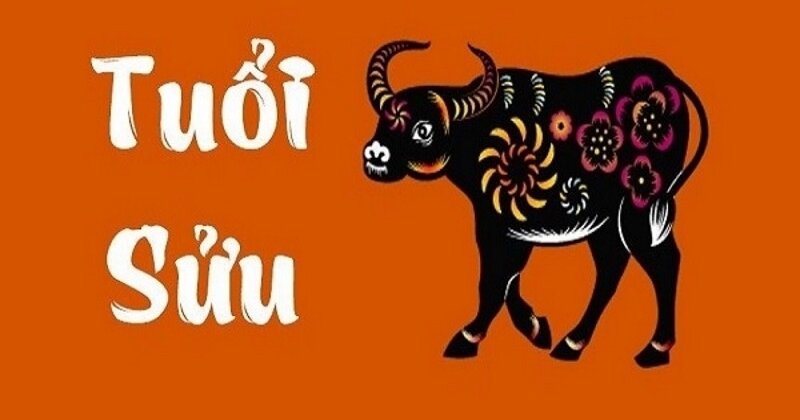 Tử vi 12 con giáp ngày 22/10: Khám phá Vận Mệnh và Cơ Hội