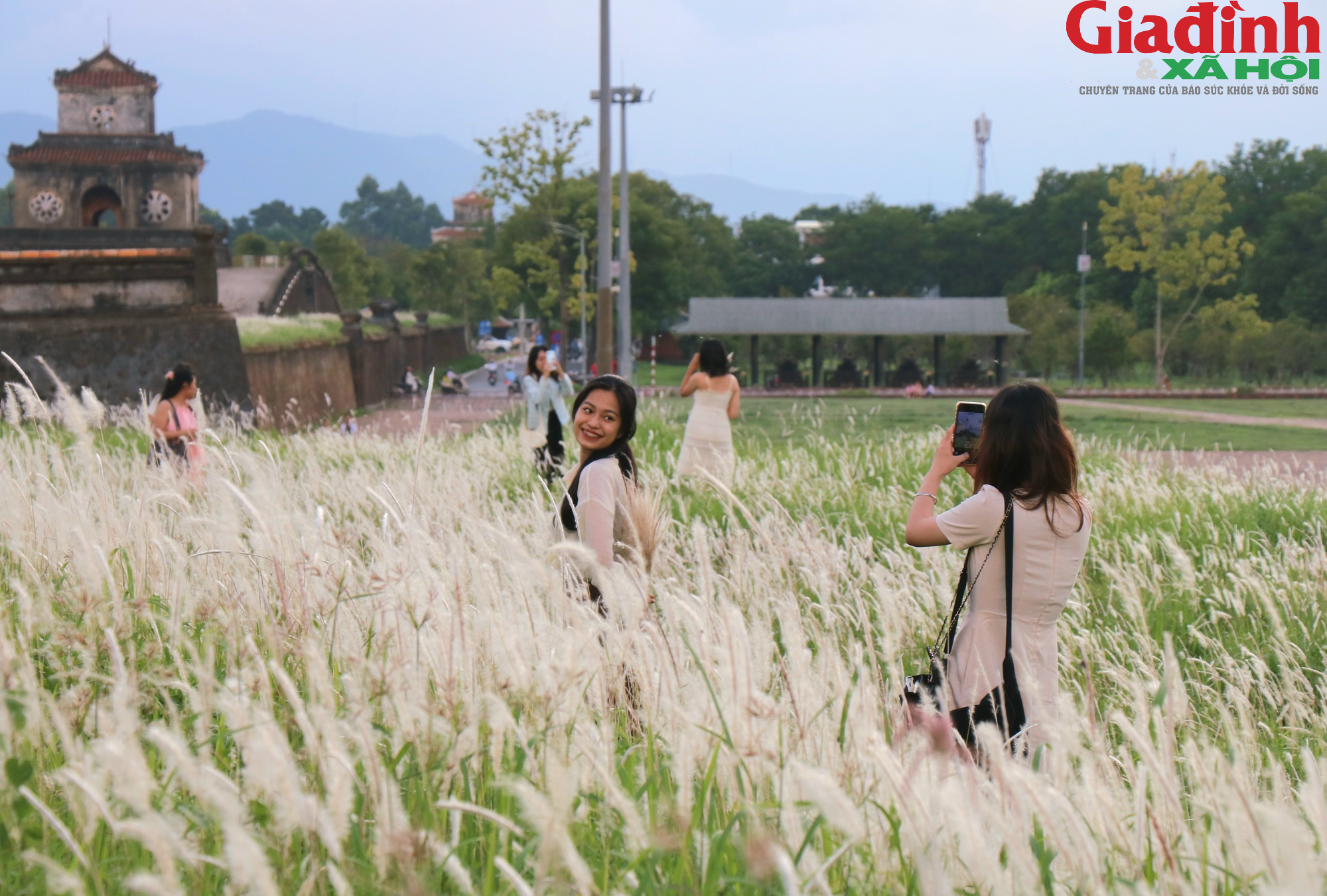 Người dân, du khách thích thú check-in hoa cỏ tranh trên Thượng thành Huế - Ảnh 3.