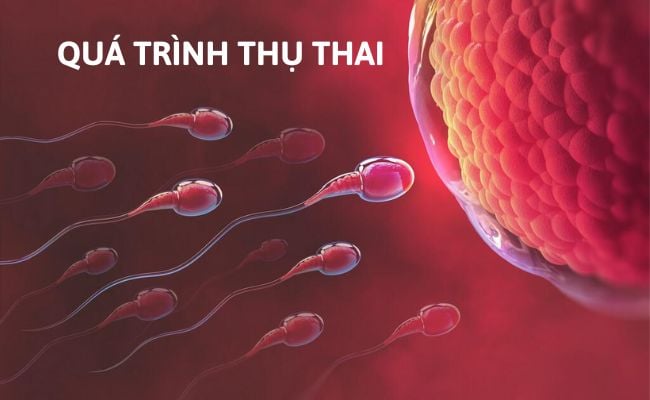 6 cách cải thiện khả năng thụ thai một cách tự nhiên - Ảnh 1.