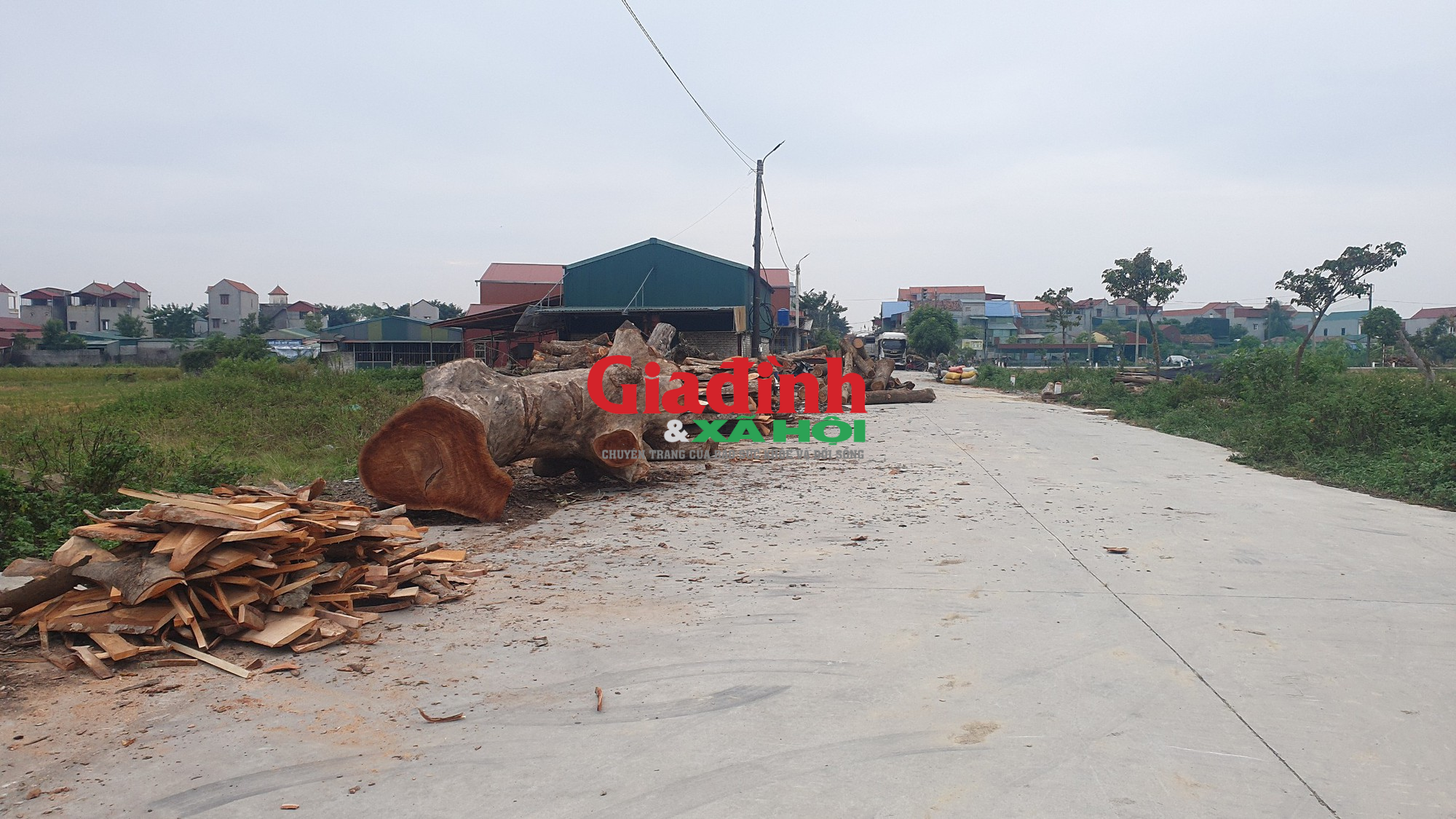 Nam Định: Ám ảnh các cơ sở sản xuất đồ gỗ gây ô nhiễm ở Ý Yên - Ảnh 5.