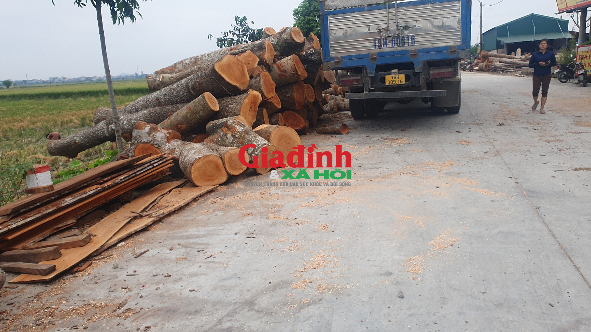 Nam Định: Ám ảnh các cơ sở sản xuất đồ gỗ gây ô nhiễm ở Ý Yên - Ảnh 6.