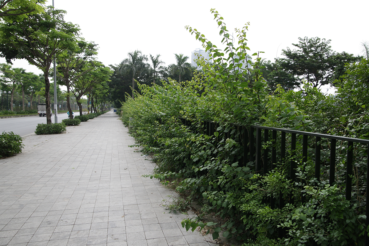 Cận cảnh công viên rộng 12 ha giữa lòng Hà Nội chưa một lần mở cửa đón khách - Ảnh 7.