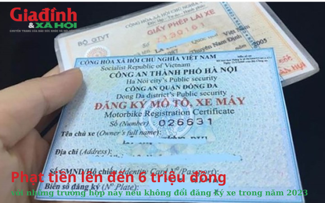 phat-tien-len-den-6-trieu-dong-voi-nhung-truong-hop-nay-neu-khong-doi-dang-ky-xe-trong-nam-2023-16982228007881771288482.png