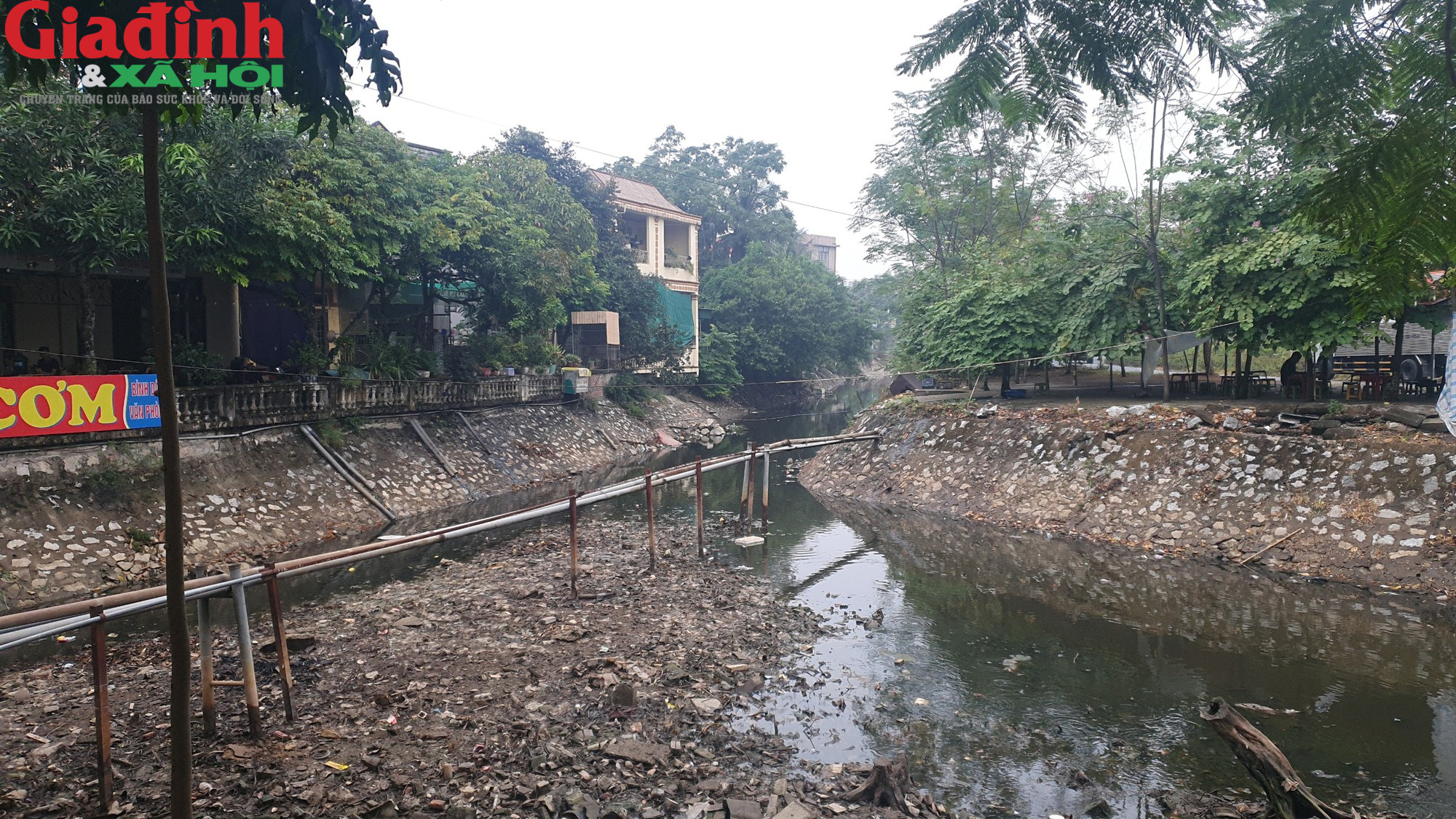 Nam Định: Ô nhiễm môi trường trầm trọng ở các kênh nước tại Ý Yên - Ảnh 1.