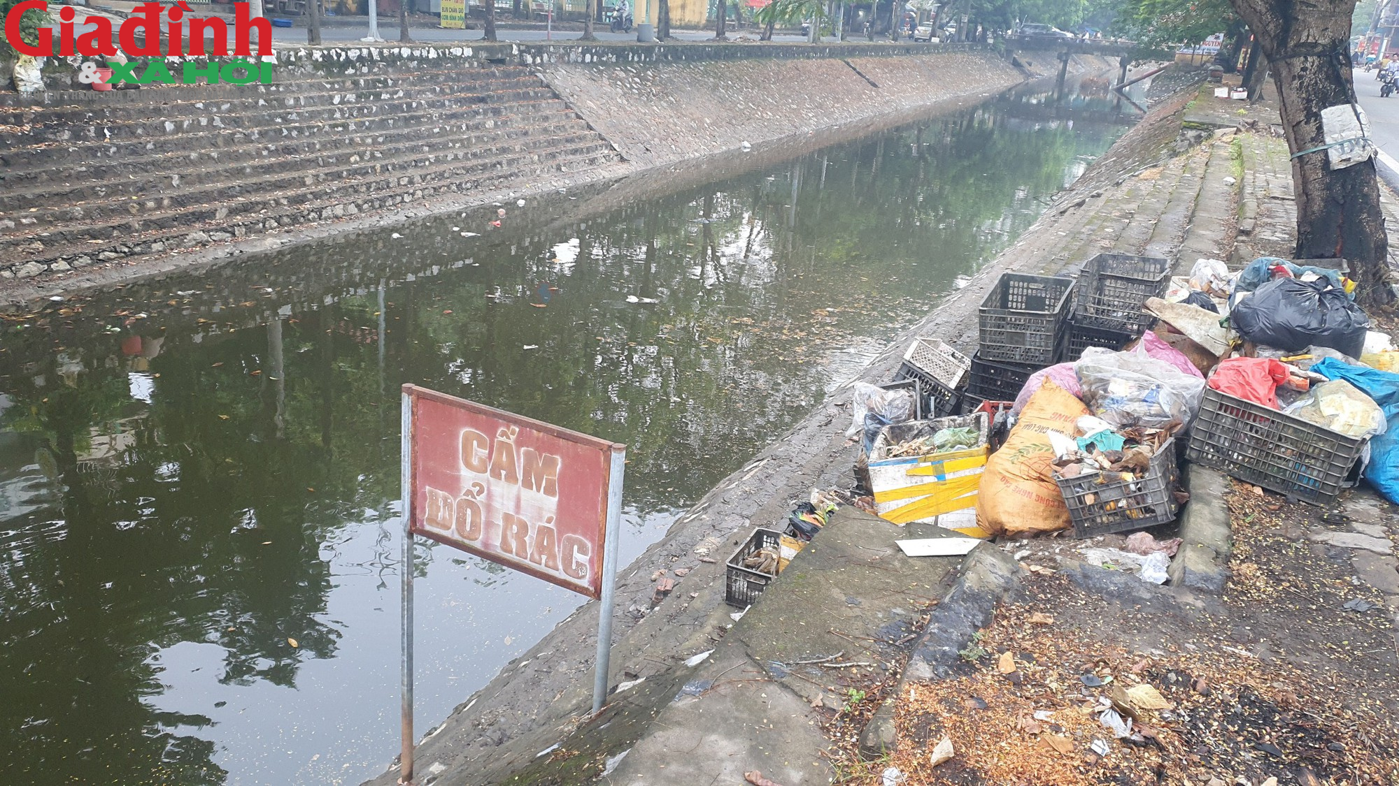 Nam Định: Ô nhiễm môi trường trầm trọng ở các kênh nước tại Ý Yên - Ảnh 2.