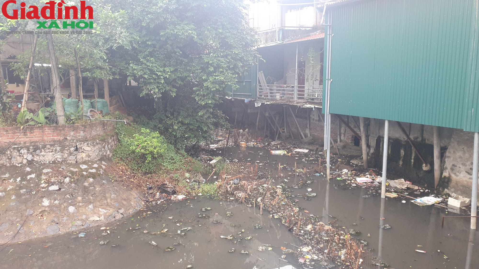Nam Định: Ô nhiễm môi trường trầm trọng ở các kênh nước tại Ý Yên - Ảnh 4.