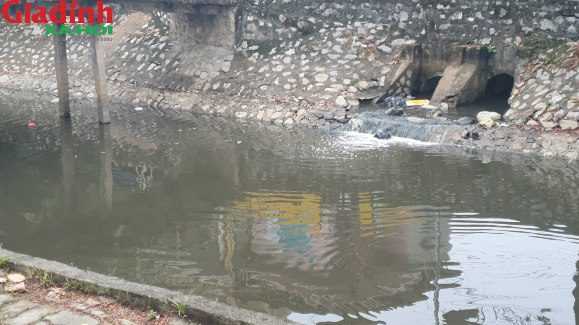 Nam Định: Ô nhiễm môi trường trầm trọng ở các kênh nước tại Ý Yên - Ảnh 10.