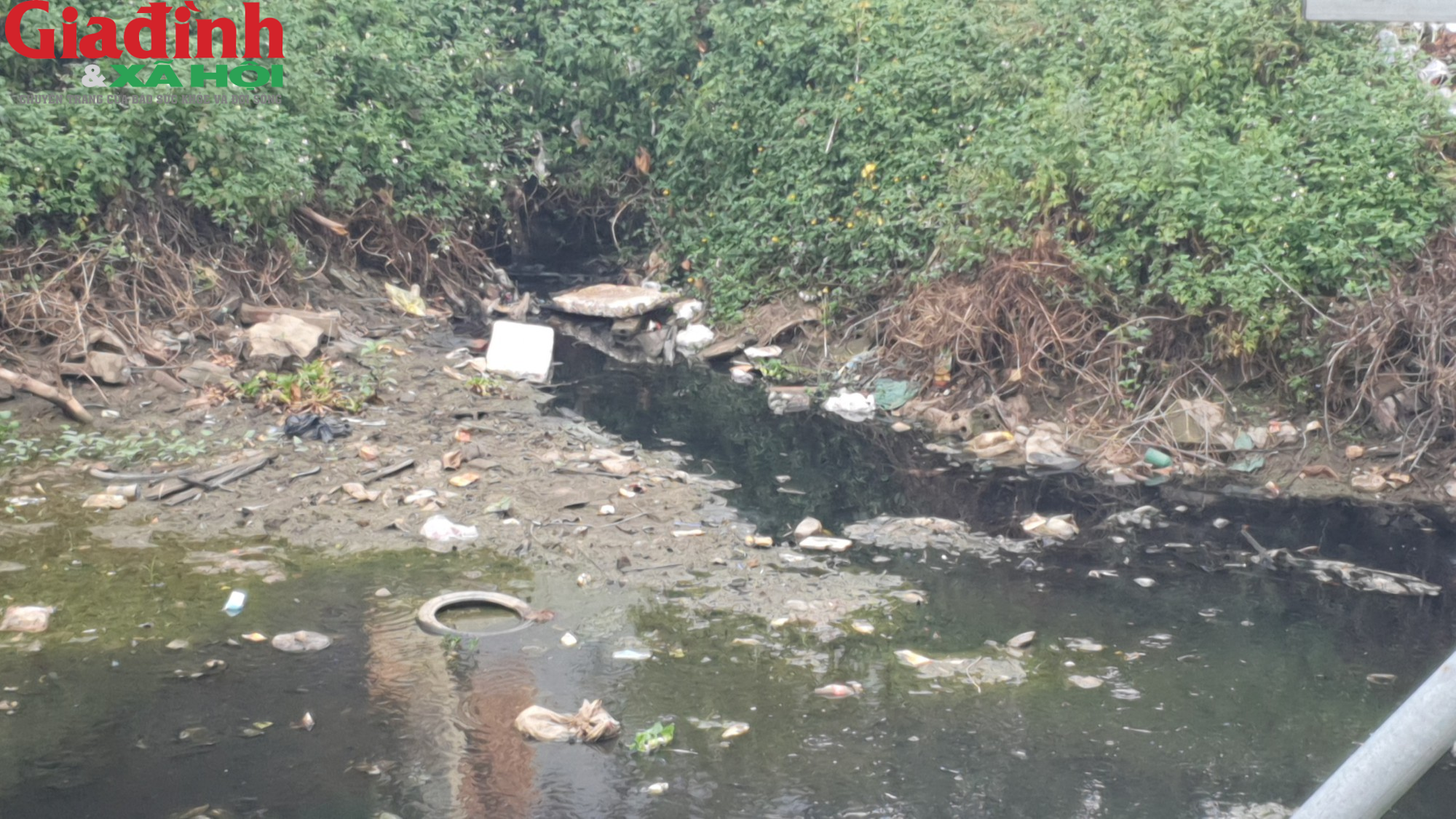 Nam Định: Ô nhiễm môi trường trầm trọng ở các kênh nước tại Ý Yên - Ảnh 11.