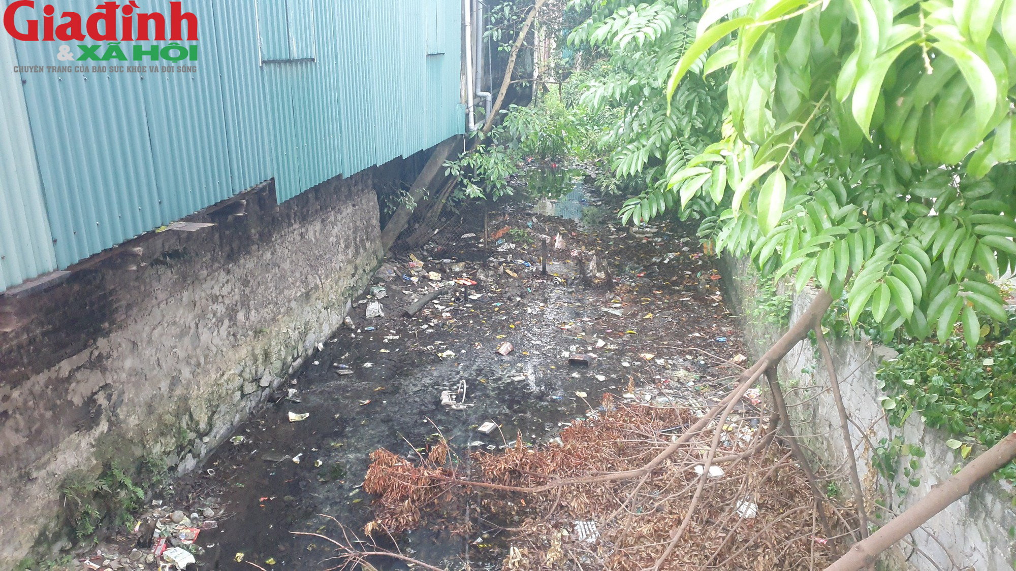 Nam Định: Ô nhiễm môi trường trầm trọng ở các kênh nước tại Ý Yên - Ảnh 12.