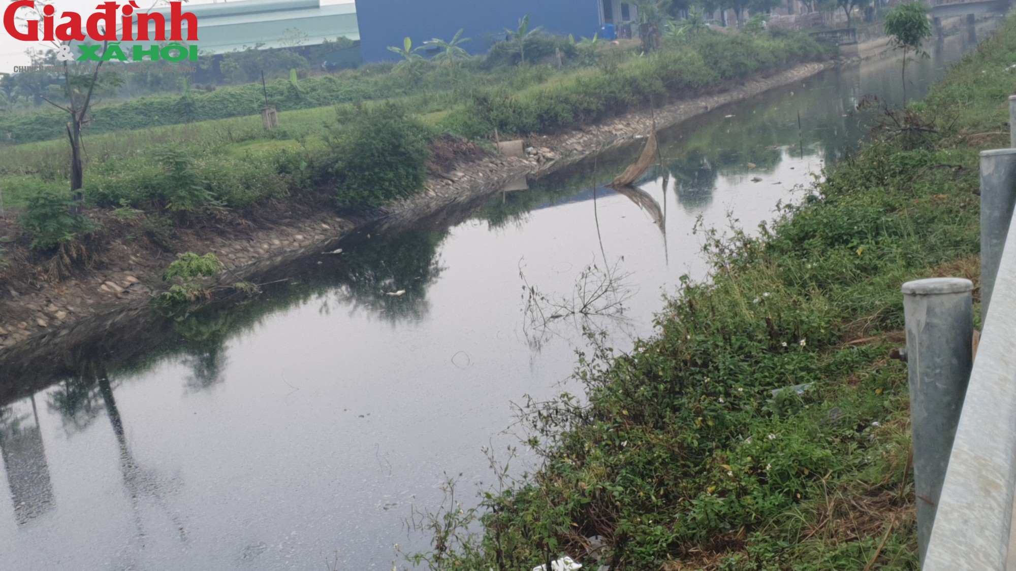 Nam Định: Ô nhiễm môi trường trầm trọng ở các kênh nước tại Ý Yên - Ảnh 14.