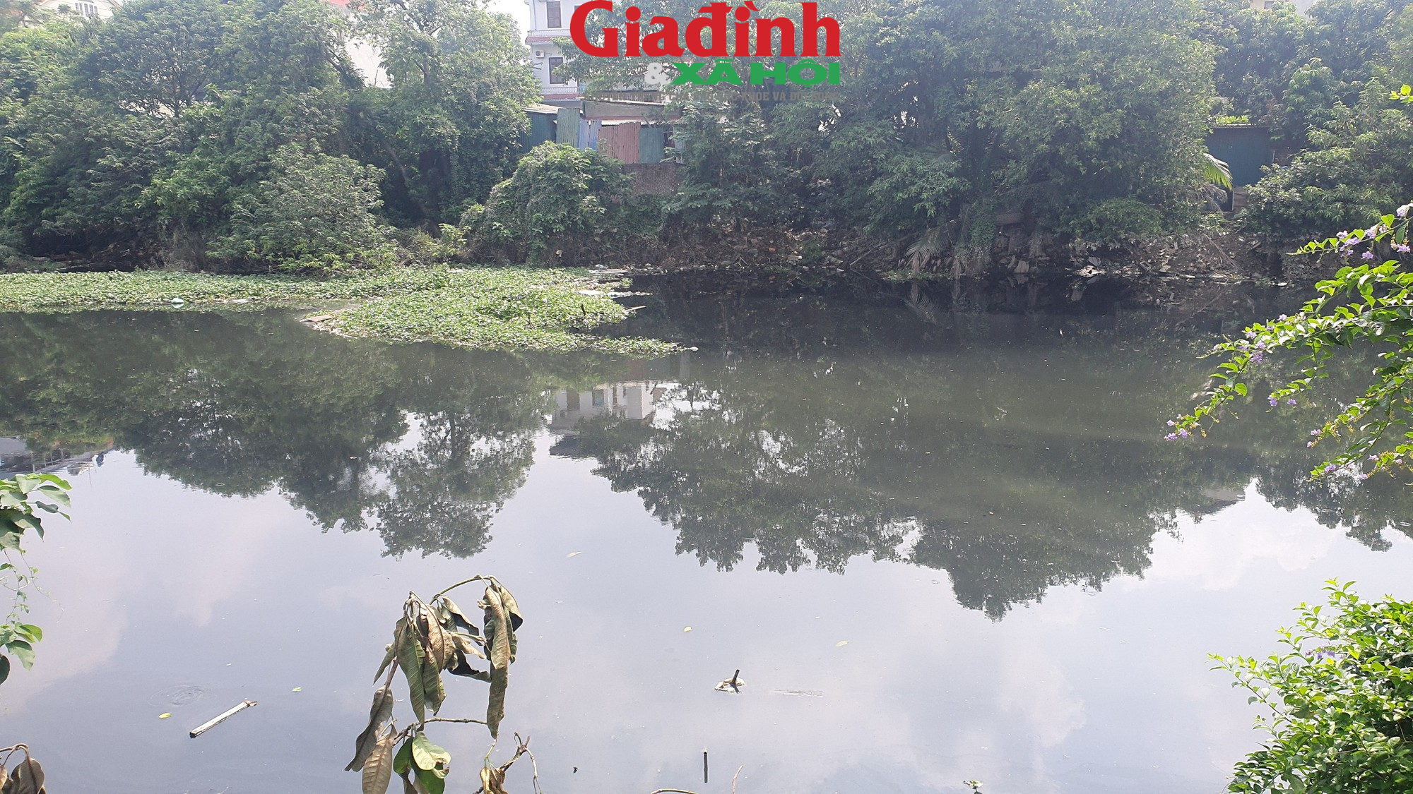 Hà Nội: Sông Nhuệ đang bị ô nhiễm trầm trọng, rác thải trôi nổi trên mặt nước  - Ảnh 2.