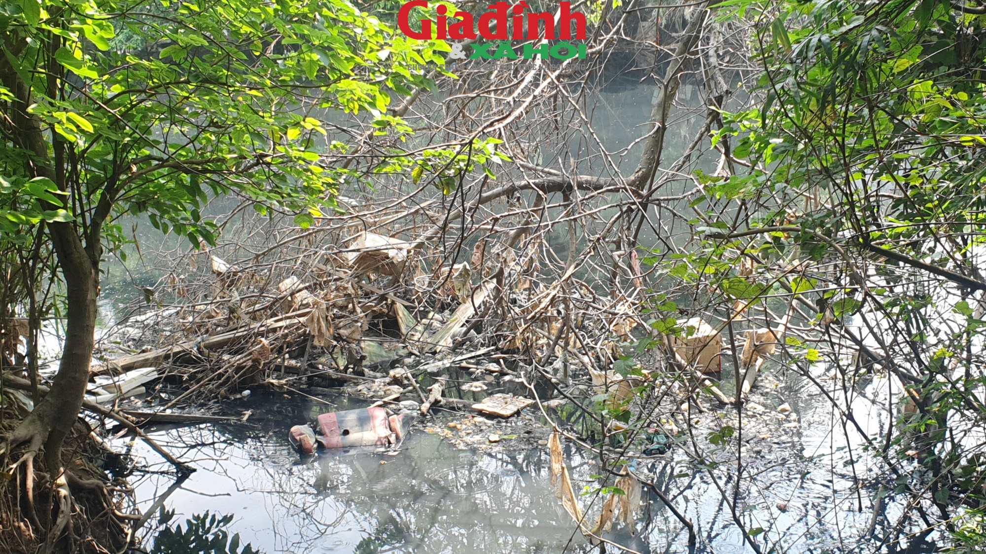 Hà Nội: Sông Nhuệ đang bị ô nhiễm trầm trọng, rác thải trôi nổi trên mặt nước  - Ảnh 8.