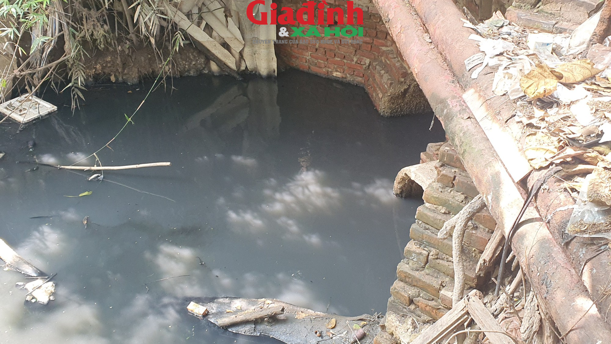 Hà Nội: Sông Nhuệ đang bị ô nhiễm trầm trọng, rác thải trôi nổi trên mặt nước  - Ảnh 11.