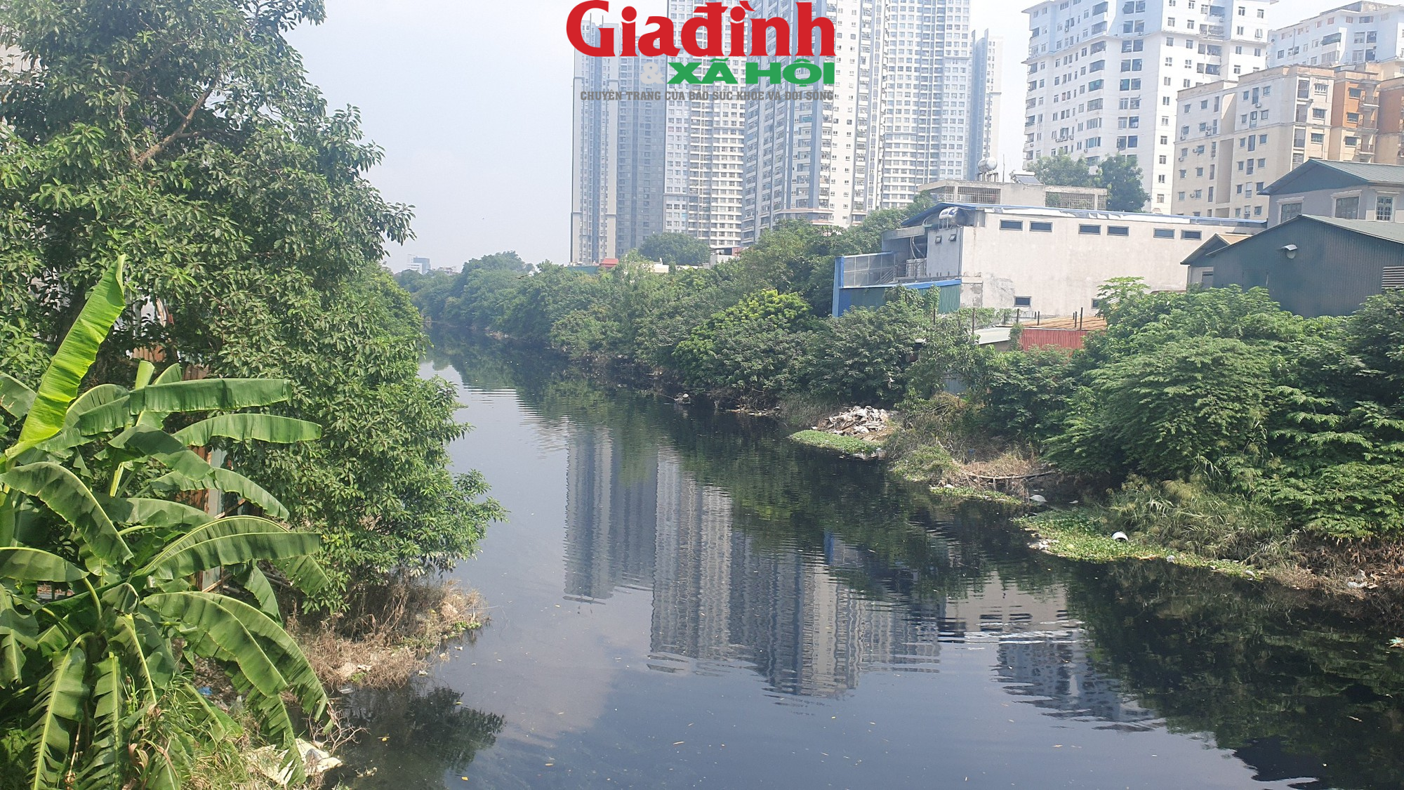 Hà Nội: Sông Nhuệ đang bị ô nhiễm trầm trọng, rác thải trôi nổi trên mặt nước  - Ảnh 12.