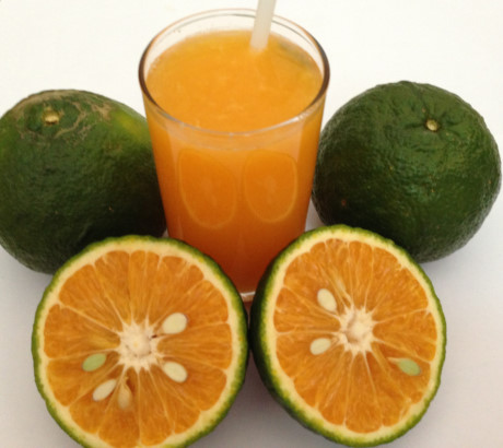 Người mắc bệnh dạ dày muốn uống nước cam nên thêm một thứ này, nước cam sẽ thơm ngon và bảo vệ dạ dày của bạn tốt hơn! - Ảnh 2.