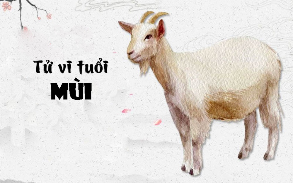 Tử vi tuần mới từ 9/10 đến 15/10/2023: Top 3 con giáp vất vả nhất tuần có Tỵ, Mùi, Ngọ