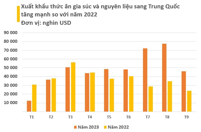 Một kho báu mới nổi của Việt Nam trở thành cứu tinh cho Trung Quốc: Sản lượng đứng thứ 8 thế giới, thu về gần 1 tỷ USD trong 9 tháng - Ảnh 2.