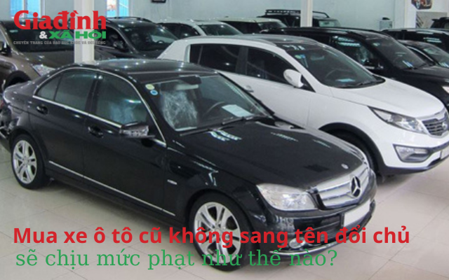 mua-xe-o-to-cu-khong-sang-ten-doi-chu-se-chiu-muc-phat-nhu-the-nao-1699588679563932184993.png