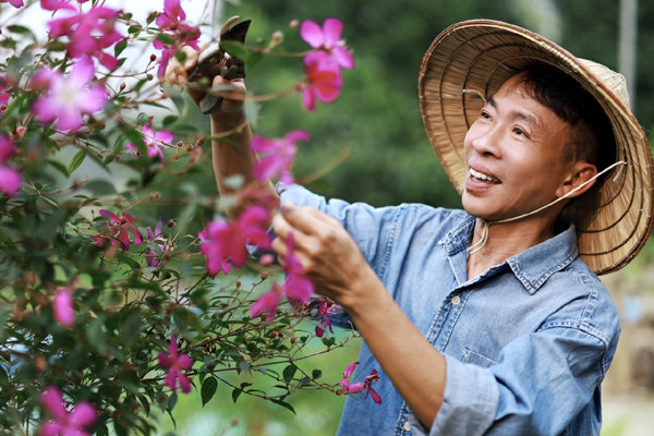 Nam ca sĩ U60 sống độc thân, vui thú điền viên sau khi ly hôn vợ kém 18 tuổi - Ảnh 6.