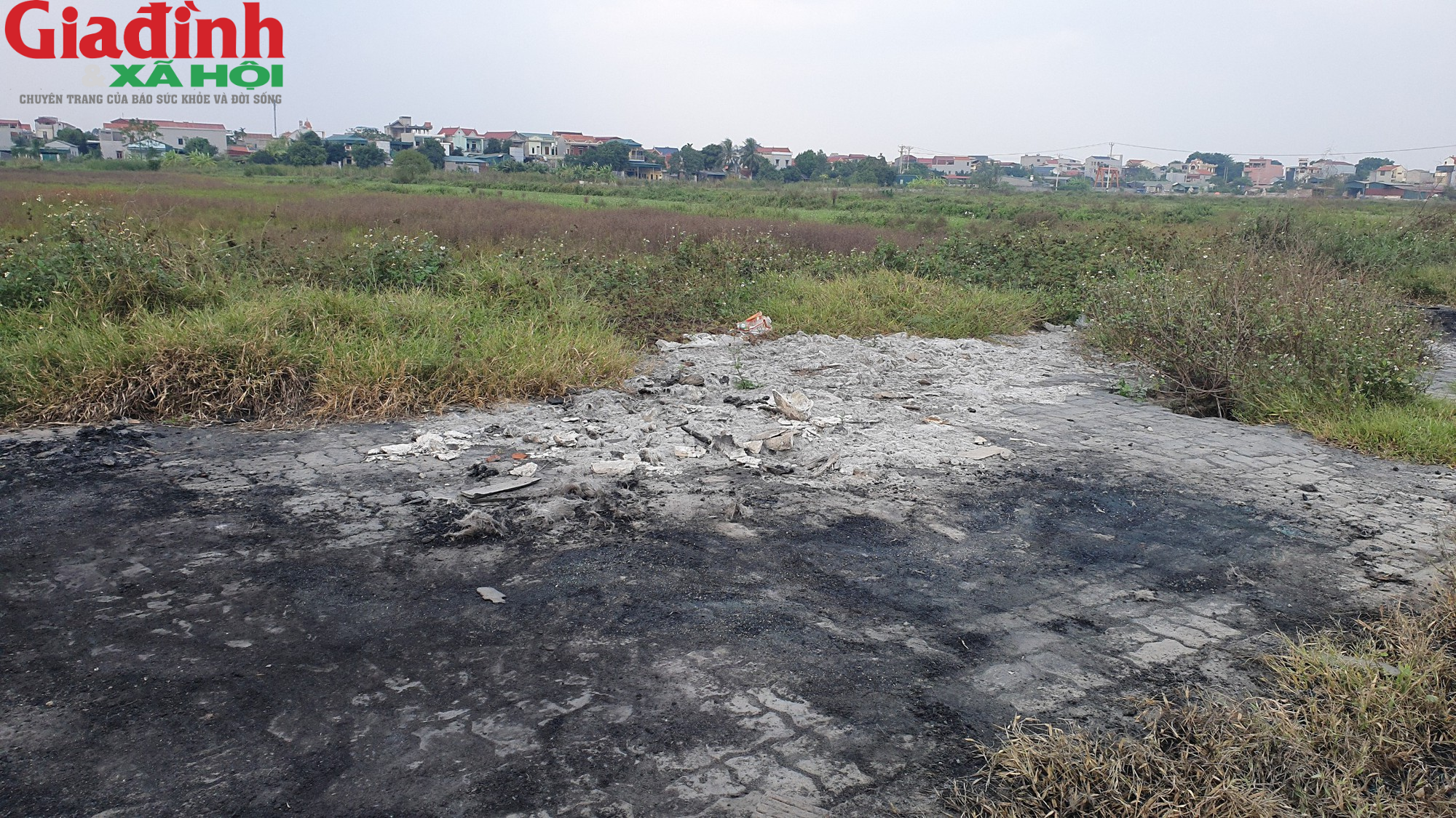 Nam Định: Ô nhiễm môi trường ở Ý Yên ngày càng nhức nhối - Ảnh 13.