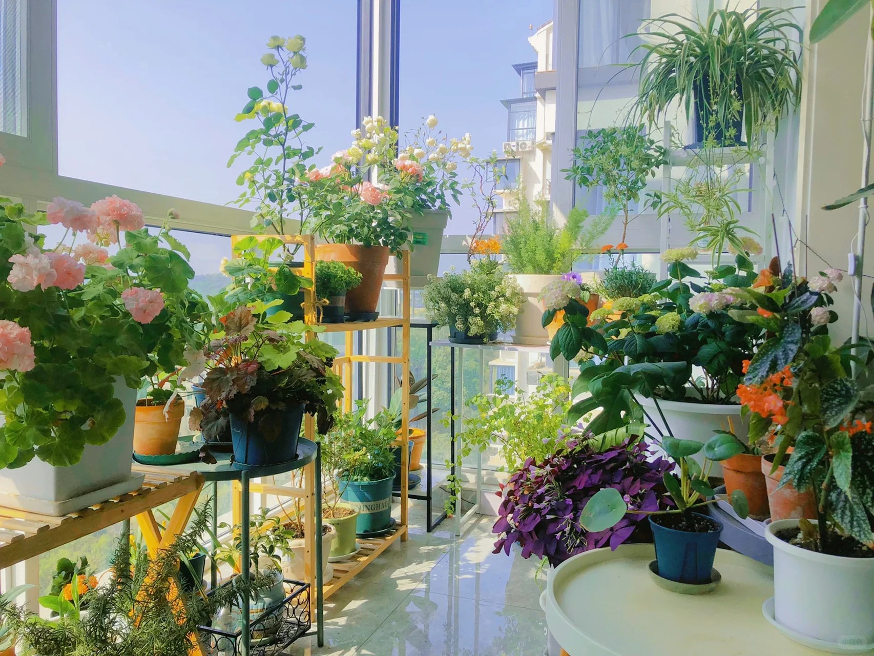 Khu vườn ban công của chàng trai gen Z khiến các chị em cũng phải ghen tị- Ảnh 1.