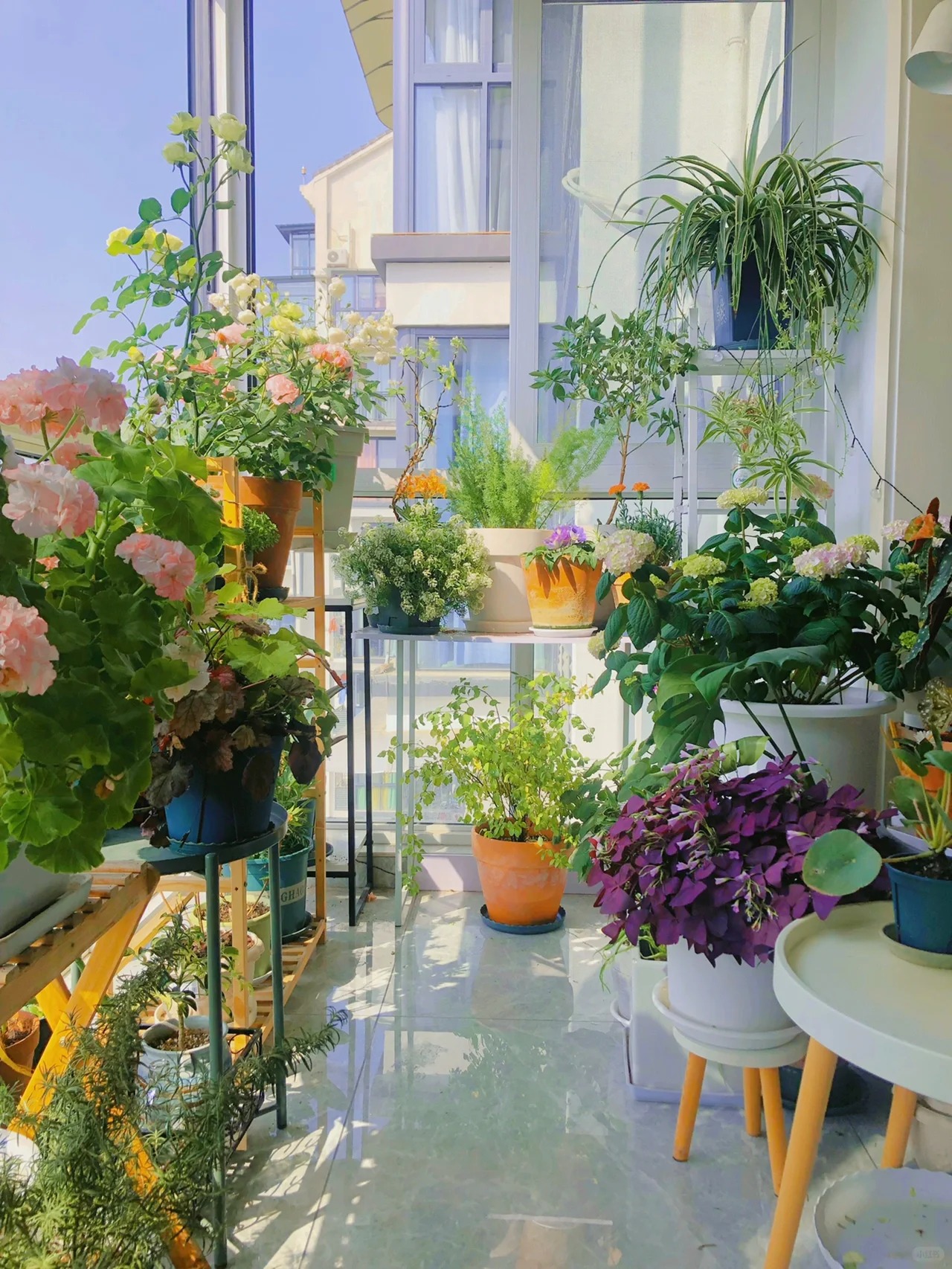 Khu vườn ban công của chàng trai gen Z khiến các chị em cũng phải ghen tị- Ảnh 9.