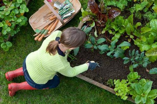 Mẹ sửa vườn thành cánh đồng nhỏ cho con gái được nuông chiều thành hư tự tay trồng trọt để con hiểu được hai từ 'lãng phí' - Ảnh 2.