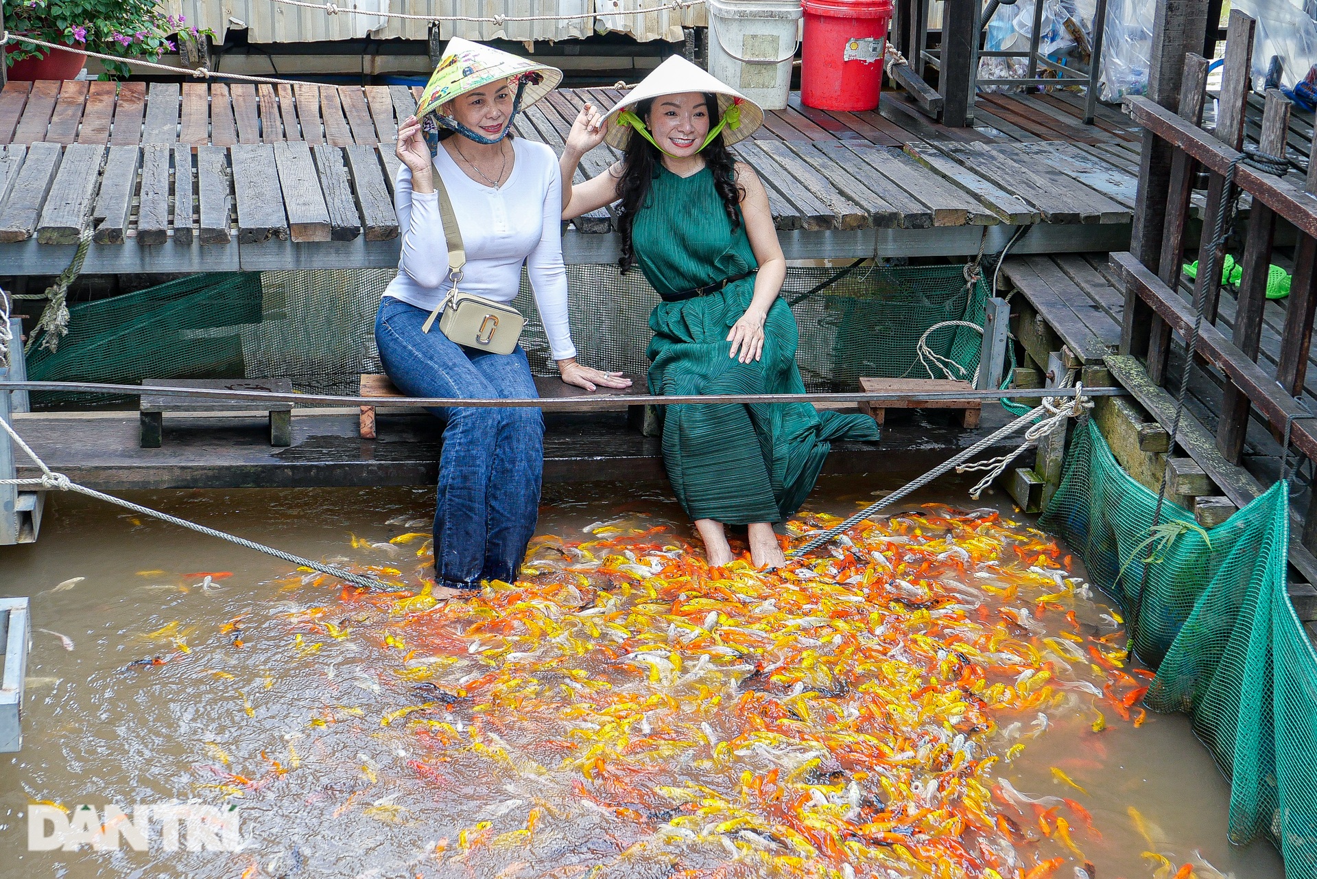 Lão nông miền Tây nuôi 'thủy quái', dạy xiếc cá, đón trăm khách mỗi ngày - Ảnh 3.