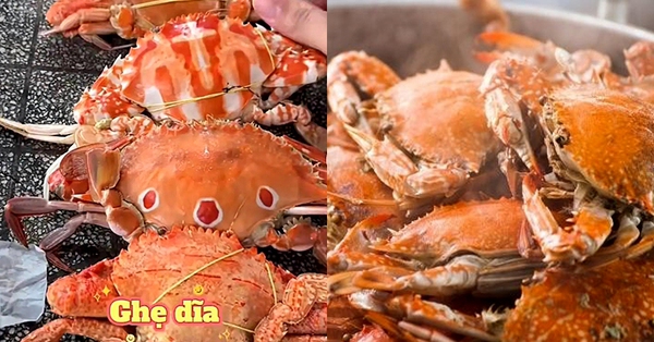 Ăn ghẹ bao năm mới biết c&oacute; tận 5 loại, người d&acirc;n v&ugrave;ng biển chỉ con n&agrave;o ngon nhất